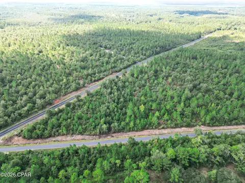 0002 Douglas Ferry Rd, Bonifay, FL 32425