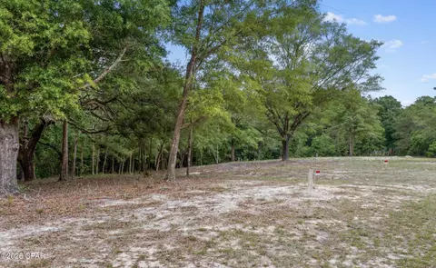 3513 River Rd, Vernon, FL 32462 photo 8