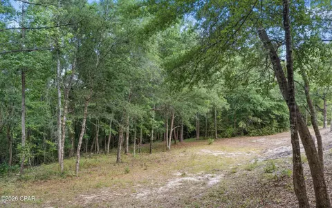3513 River Rd, Vernon, FL 32462 photo 10