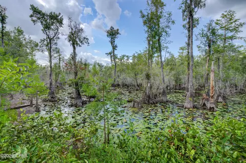 1788 Gap Blvd, Chipley, FL 32428 photo 37