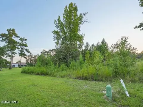 0 Charlie Gaskin Dr, Wewahitchka, FL 32465