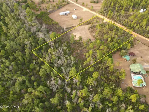 421 Tinker Ln, Chipley, FL 32428 photo 9