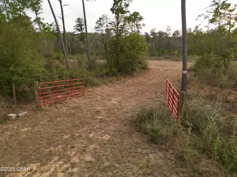421 Tinker Ln, Chipley, FL 32428 photo 4