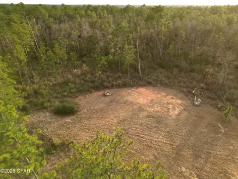 421 Tinker Ln, Chipley, FL 32428 photo 7