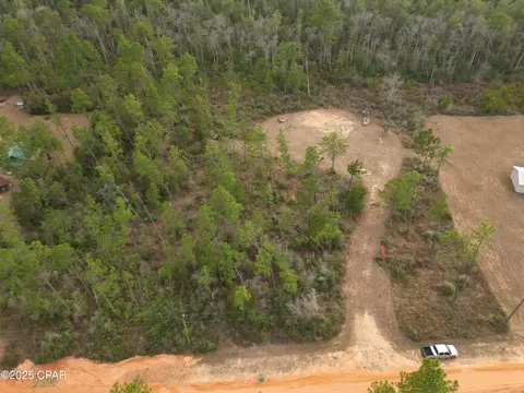 421 Tinker Ln, Chipley, FL 32428 photo 2