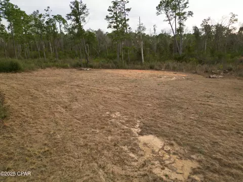 421 Tinker Ln, Chipley, FL 32428 photo 5