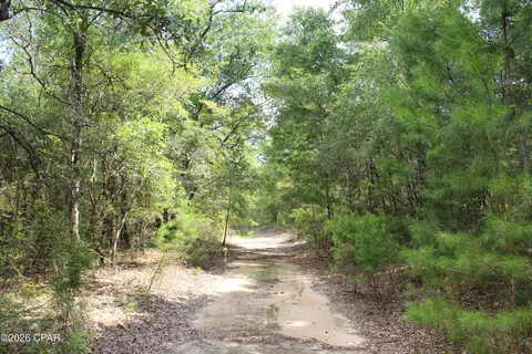 tbd New Jerusalem Rd, Vernon, FL 32462 photo 6