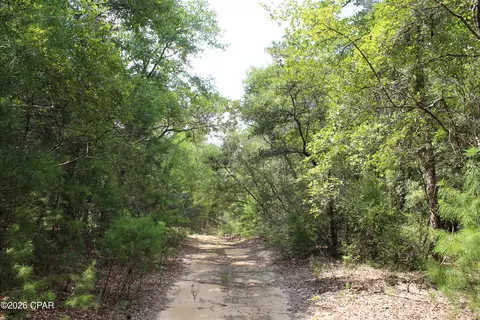 tbd New Jerusalem Rd, Vernon, FL 32462 photo 2