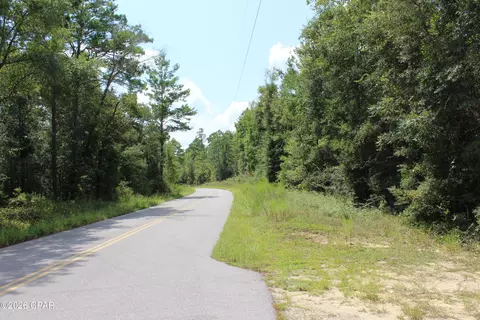 tbd New Jerusalem Rd, Vernon, FL 32462 photo 8