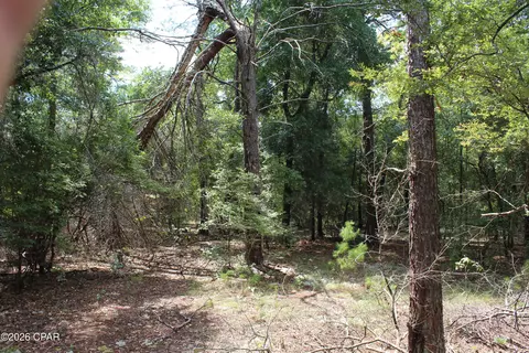 tbd New Jerusalem Rd, Vernon, FL 32462 photo 4