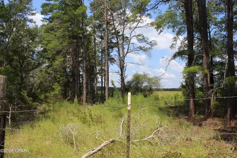 tbd New Jerusalem Rd, Vernon, FL 32462 photo 12