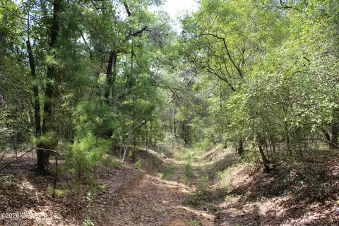 tbd New Jerusalem Rd, Vernon, FL 32462 photo 5