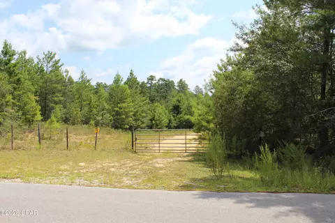 tbd New Jerusalem Rd, Vernon, FL 32462 photo 10