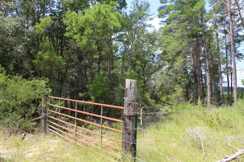 tbd New Jerusalem Rd, Vernon, FL 32462 photo 11