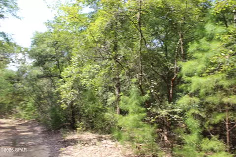 tbd New Jerusalem Rd, Vernon, FL 32462 photo 3