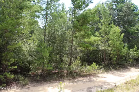 tbd New Jerusalem Rd, Vernon, FL 32462 photo 7