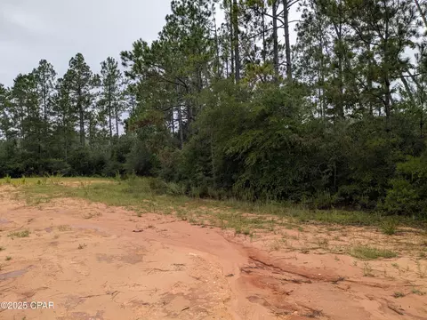 0 Deshutes Dr, Alford, FL 32420