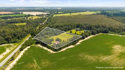 View/Area - 5953 Deerwood Dr, Malone, FL 32445 photo 8 of 8