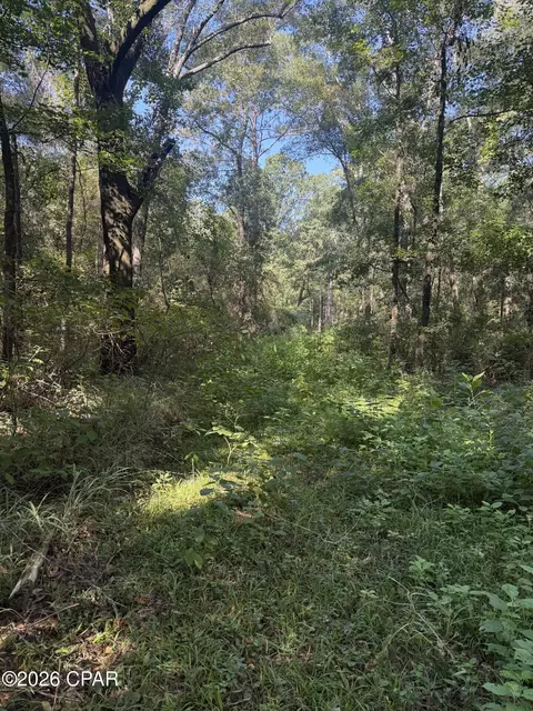 0 Jacob Rd, Cottondale, FL 32431 photo 10