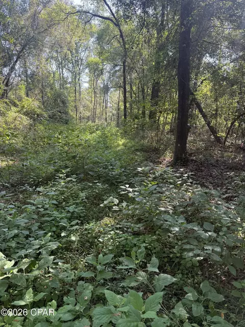 0 Jacob Rd, Cottondale, FL 32431 photo 7