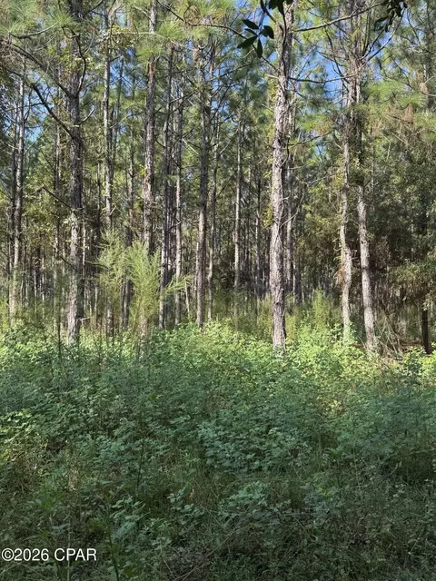 0 Jacob Rd, Cottondale, FL 32431 photo 17