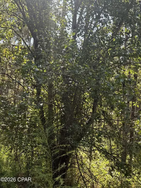 0 Jacob Rd, Cottondale, FL 32431 photo 6