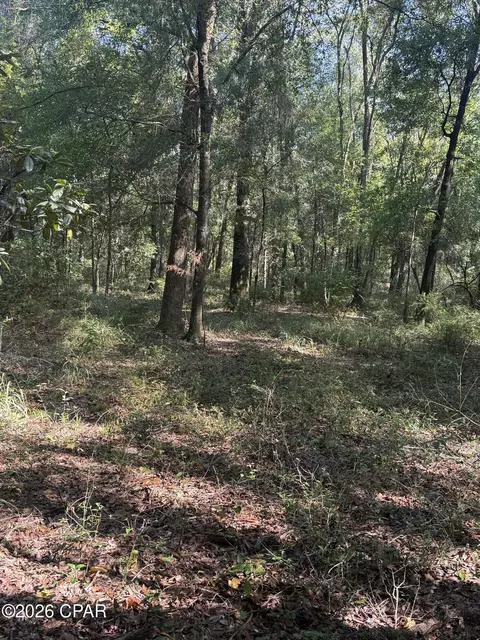 0 Jacob Rd, Cottondale, FL 32431 photo 9