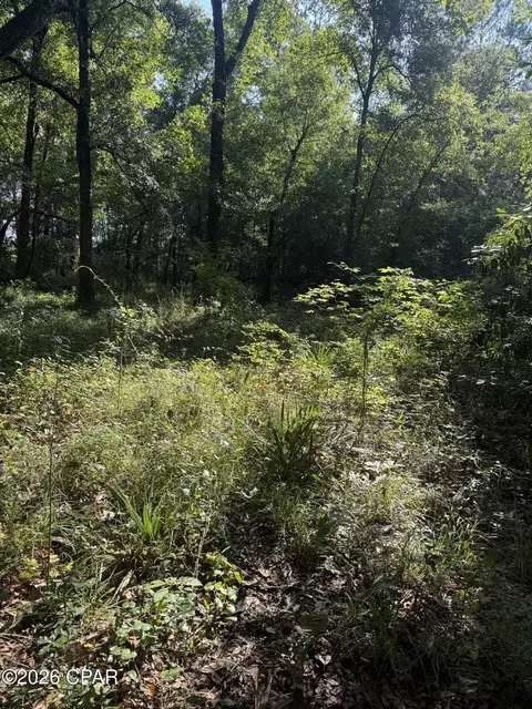 0 Jacob Rd, Cottondale, FL 32431 photo 14