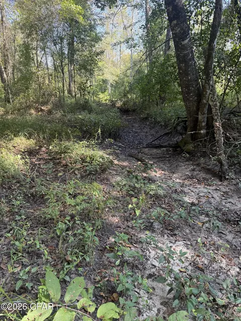0 Jacob Rd, Cottondale, FL 32431 photo 13