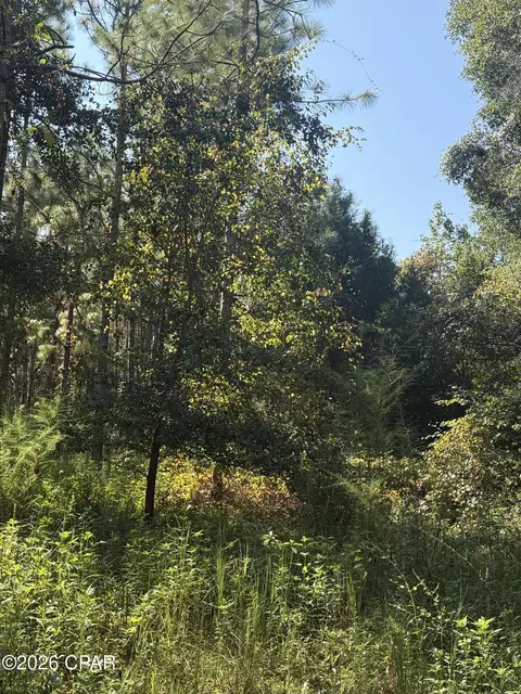 0 Jacob Rd, Cottondale, FL 32431 photo 8