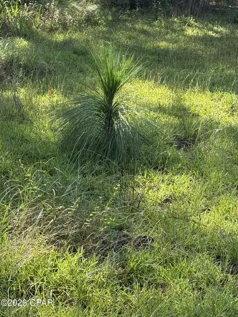 0 Jacob Rd, Cottondale, FL 32431 photo 5