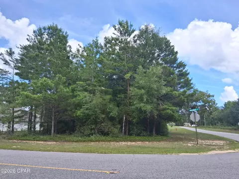 lot10 Baldwin St, Chipley, FL 32428 photo 2
