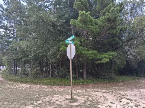 lot10 Baldwin St, Chipley, FL 32428 photo 3
