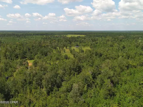 0 River Rd, Sneads, FL 32460 photo 8