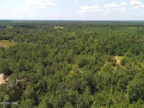 0 River Rd, Sneads, FL 32460 photo 4