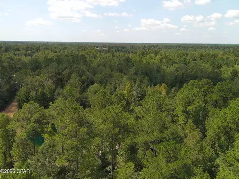 0 River Rd, Sneads, FL 32460 photo 12