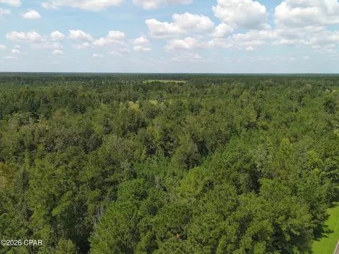 0 River Rd, Sneads, FL 32460 photo 7