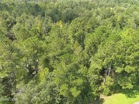 0 River Rd, Sneads, FL 32460 photo 11
