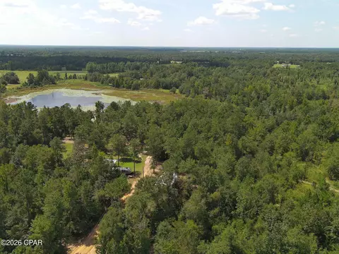 0 River Rd, Sneads, FL 32460 photo 5