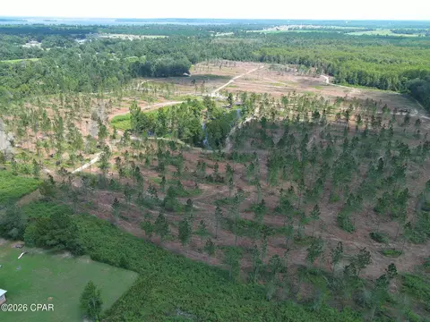 tbd Gloster Ave, Sneads, FL 32460 photo 8