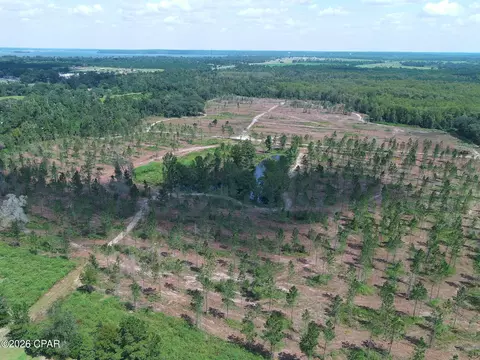 tbd Gloster Ave, Sneads, FL 32460 photo 7