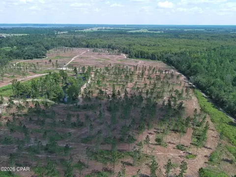 tbd Gloster Ave, Sneads, FL 32460 photo 3