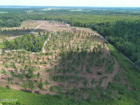 tbd Gloster Ave, Sneads, FL 32460 photo 6