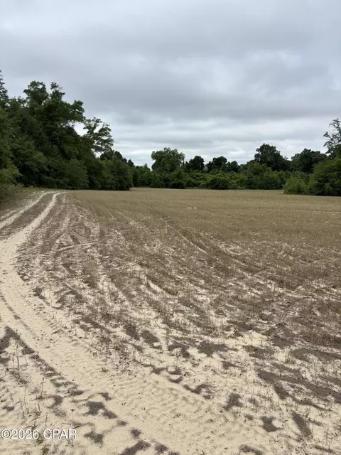 0 Blue Springs Rd, Greenwood, FL 32443