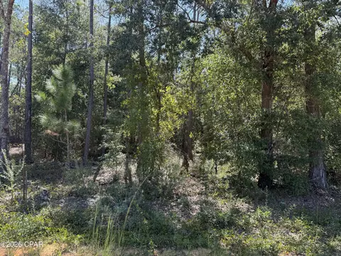 0 Abraham St, Alford, FL 32420