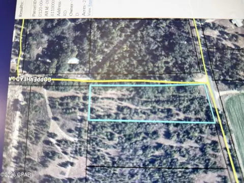 5768 Neals Landing Rd, Bascom, FL 32423 photo 3