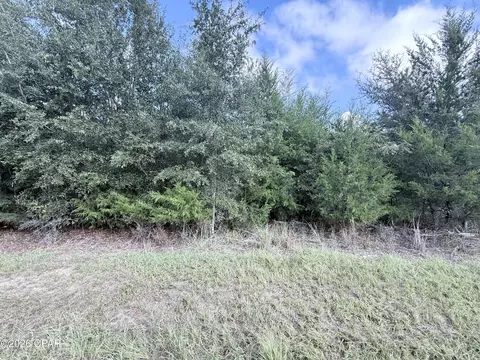 5768 Neals Landing Rd, Bascom, FL 32423 photo 2