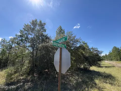 lot27 Cascade Dr, Chipley, FL 32428 photo 5