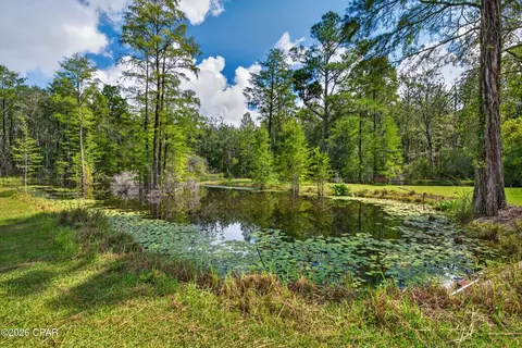 Other - 2367 Tiller Rd, Chipley, FL 32428 photo 9 of 13