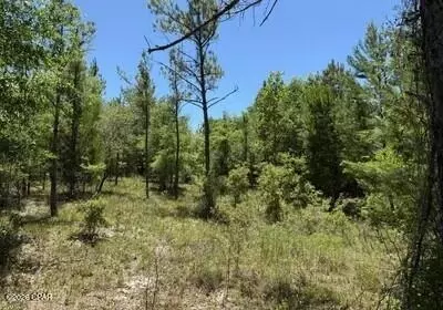 Nnn Orange Hill Road, Chipley, FL 32428
